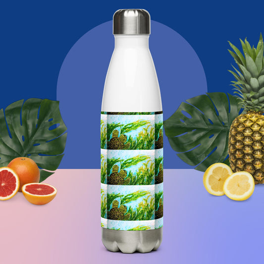 Stainless Steel Water Bottle